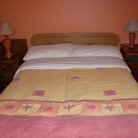 Mcelroy Budget Hostel Dublin